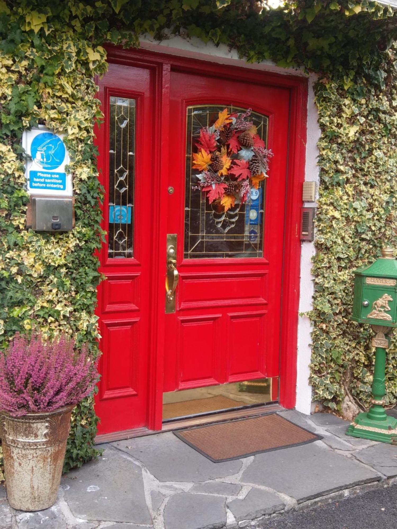 Ash Grove House Bed & Breakfast Galway Dış mekan fotoğraf
